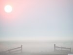 morning mist in terschelling germany