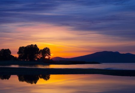 Sunset - sky, tree, nature, sunset