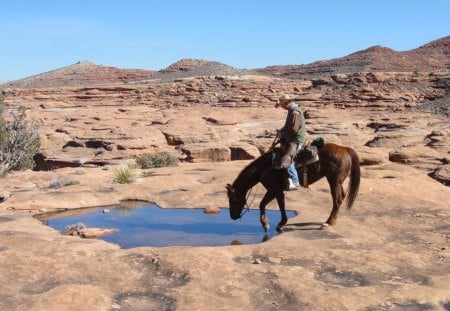 jason and his horse in the grand canyon - rider, horse, canyon, pool