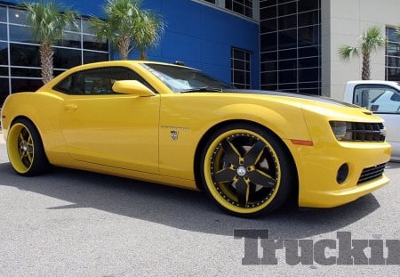 Camaro - bowtie, yellow, gm, chevy