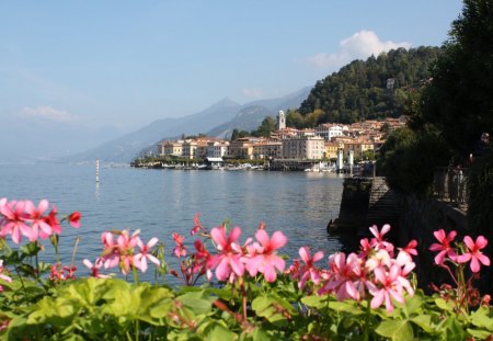 bellagio on lake como - nice, sky, italy, como, peaceful, water, colorful, mountains, coast, pretty, houses, lake, mountain, hills, landscape, summer, shore, lovely, nature, town, beautiful, scenery, flowers