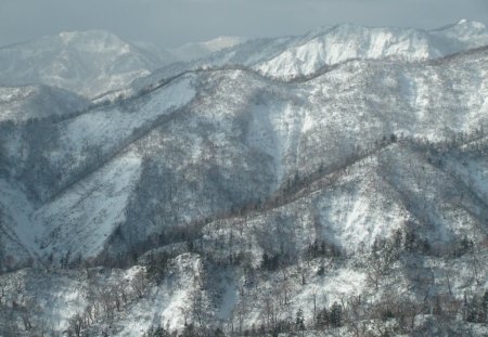 mountains in hokkaido japan - snow, trees, mountains, grey clouds