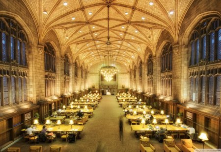 harper memorial library U of chicago - tables, library, reading room, gothic, lights