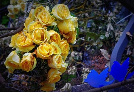 Yellow Roses and Bluebirds - flowers, roses, bluebirds, garden gate