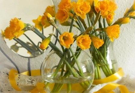 still life - mirror, daffodils, ribbon, flowers, still life