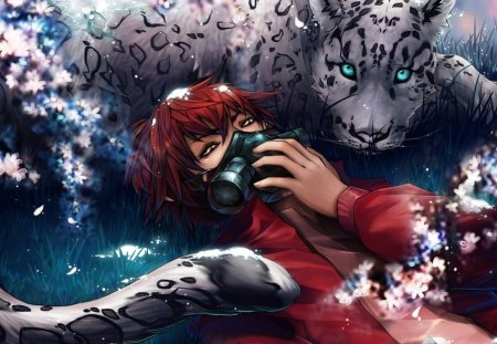 Tiger Boy - cg, anime, tiger, boy