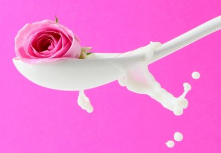 Pink Splash - pink, sweet, friends, rose, splash, for u