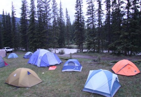 Camping ground at Lake Louise Banff Alberta - camping, forests, trees, green, photography, lake, mountain, tent