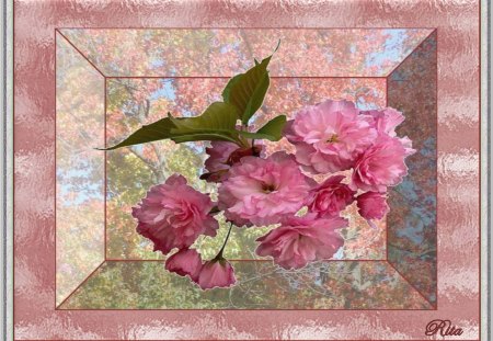 FALLING BLOSSOMS. - blossoms, pink glass surround, pink, deep frame