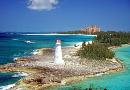 Lighthouse Beach. - a, fine, picture, of