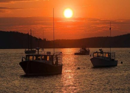 Anchored For The Night. - are, the, well, boats