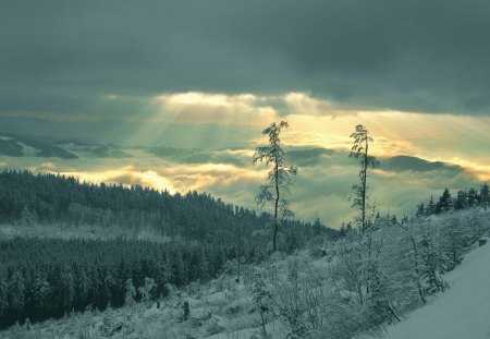 Green sky - sky, landscape, clouds, nature, green