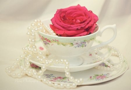 Cup of rose and pearls - flowers, beautiful, red, rose, love, cup, pearl, dreams