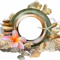 Flowers, stones and seashells