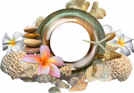 Flowers, stones and seashells - nice, seashells, ocean, treasure, orchid, shells, summer, lovely, round, sea stars, pretty, beautiful, memories, flowers, sea