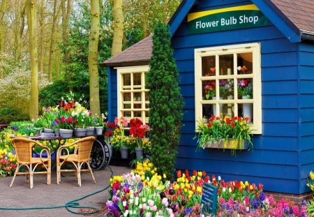 Country flower shop - flower, beautiful, nursery, countryside, chairs, shop, table, floral, colorful, pretty, flowers, country, rural, garden, nice, lovely, house