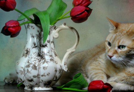 Tabby*n Tulips - tulips, cat, animals, vase