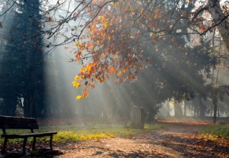 Quiet morning in the park