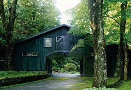 Tunnel Home - trees, forest, passing, house, tunnel, strange