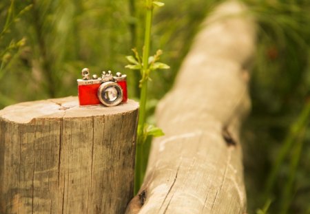 Red Camera - red, forest, pretty, beauty, beautiful, red camera, grass, wood, wooden, camera, photography, lovely, woods, nature, green