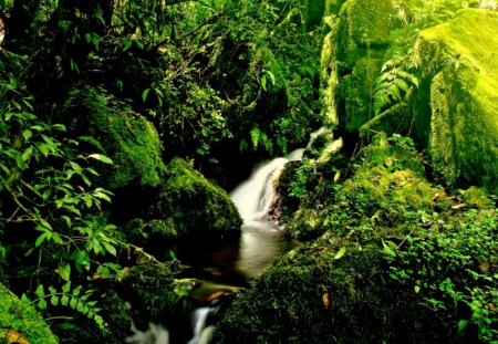 KILIMANJARO STREAMS - streams, falls, paradise, kilimanjaro, forest