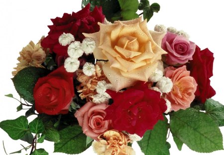 bouquet of flowers - nice, bouquet, flowers, roses