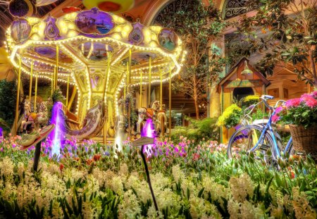 Simply Beautiful - beauty, trees, bike, peaceful, colorful, tulips, hotel, amazing, architecture, house, las vegas, garden, hyacinth, light, bicycle, lovely, carousel, beautiful, splendor, tulip, flowers, colors, lights