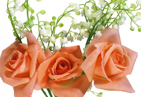 roses with lily of the valley - flowers, roses, lily of the valley, bouquet, peach