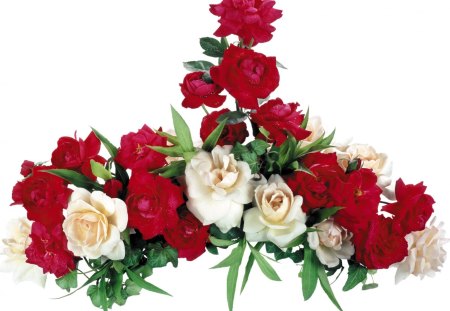 Rose table arrangement - white, red, flower, roses, arrangement