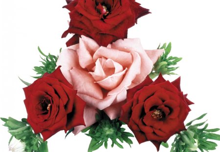 Heartfelt roses - rose, pink, red, arrangement