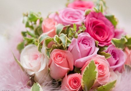 Pinks for Inspi - flowers, roses, white, green, pink, leaves