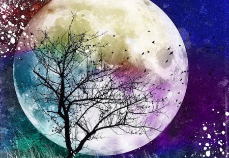 moon - moon, absract, psp, tree