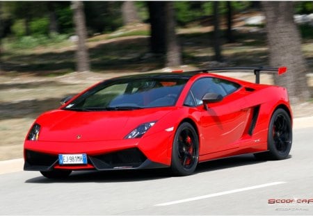 Lamborghini Gallardo Super Trofeo Stradale 2013 - gallardo, lamborghini, lambo, suer trofeo stradale