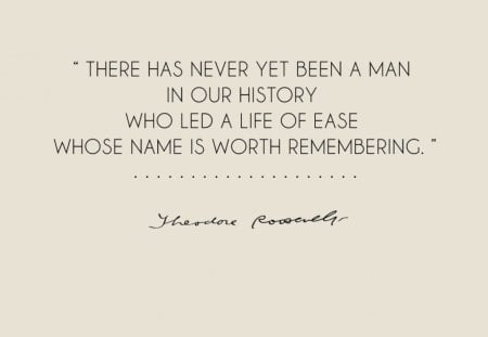 Roosevelt Quote - cg, abstract, quote, roosevelt