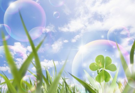 Eco Concept Photos - Blue sky and Gassland, bubbles and clover - abstract, gassland, blue sky, clover, bubbles, cg