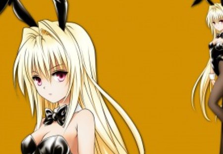 Pretty Blonde Bunny - anime, cute, girl, pretty