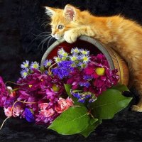 Puuurfect basket for Miss Kate