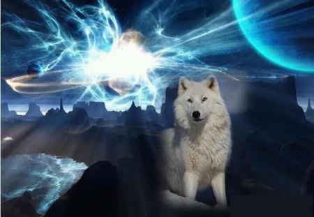 Midnight Wolf - Fantasy & Abstract Background Wallpapers on Desktop ...