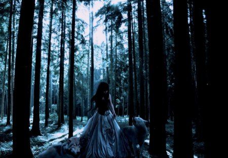 Girl with Wolves - fantasy, girl, forest, woods, wolves