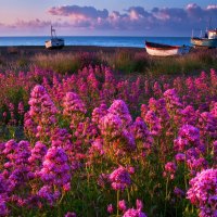 Boats on shore