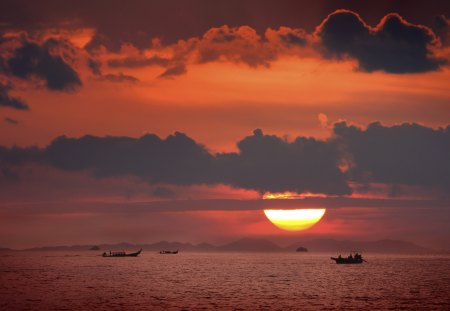 beautifull sunset.....!!!! - hammock, paradise, britney spears, seagull