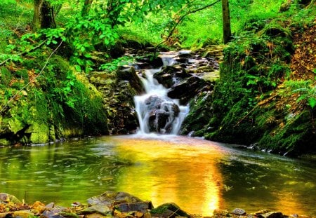 Forest stream - calm, yellow, water stream, stream, grass, forest, reflection, golden, falling, greenery, water, beautiful, pond, stones, fall, glowing, nature, waterfall, green, peaceful, rocks