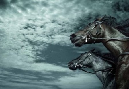 HORSE POWER - clouds, equine, skies, horses, races, power, animals