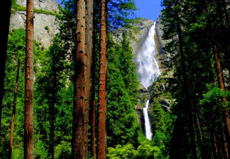 HIDDEN WATERFALLS - trees, forest, height, waterfalls, rock, majestic