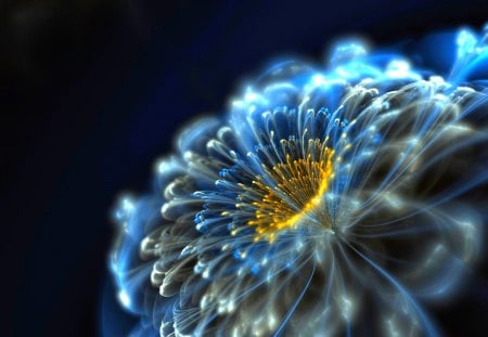 NEON FLOWER - glow, closeup, blue, neon