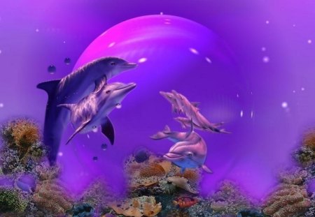 Abstract sea wallpaper - moon, animal, fish, sea, dolphin