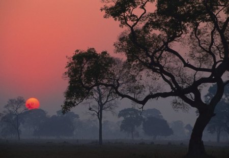 SERENITY AT SUNDOWN - landscape, silouette, evening, trees, sunset, days end