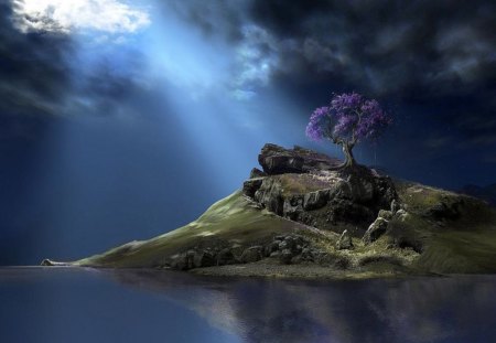 the tree - lake, hill, sunlight, island, tree