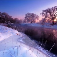 Purple Dawn Snow