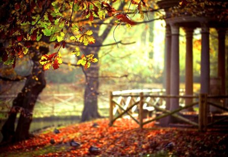 LIGHTED PARK - nature, trees, leaves, park, garden furniture